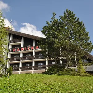 Hotel Horsky Hanicka